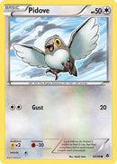 80-pidove
