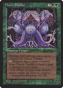 80a-thornthallid