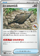 81-antiqueplumefossil