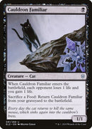 81-cauldronfamiliar