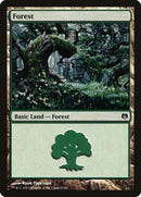 81-forest