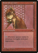 81-hurrjackal