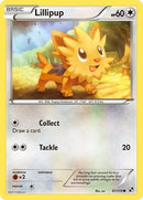81-lillipup