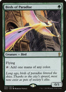82-birdsofparadise