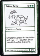 82-patientturtle