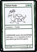 82-patientturtle