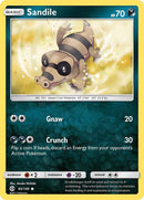 83-sandile