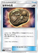 83-unidentifiedfossil