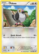 84-pidove