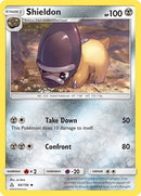 84-shieldon