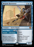 85-brazenborrowerpettytheft