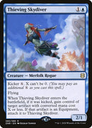 85p-thievingskydiver
