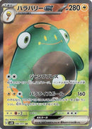 86-belliboltex