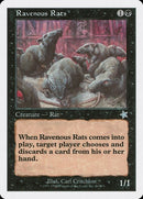 86-ravenousrats