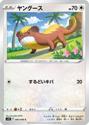 86-yungoos