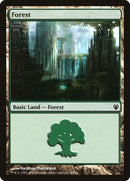 87-forest