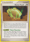 89-domefossil