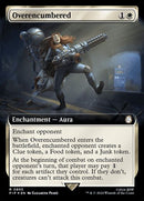 895-overencumbered