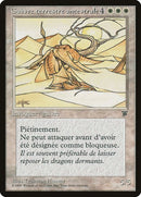 9-elderlandwurm