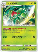 9-grovyle