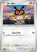 9-hoothoot
