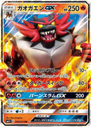 9-incineroargx
