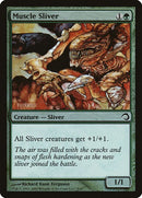 9-musclesliver