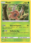 9-pinsir