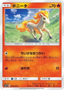 9-ponyta