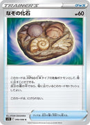 90-unidentifiedfossil
