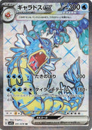 91-gyaradosex