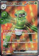 91-spidopsex