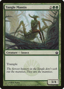 91-tanglemantis