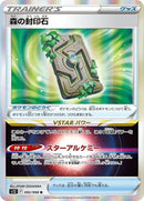 92-forestsealstone