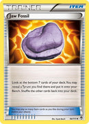 94-jawfossil