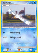 95-wingull