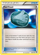 98-sailfossil
