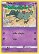 98-salandit