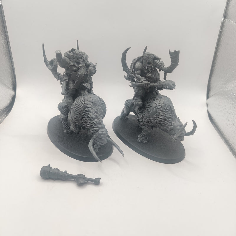 Age of Sigmar Beastclaw Raiders Mournfang x2 - AD079
