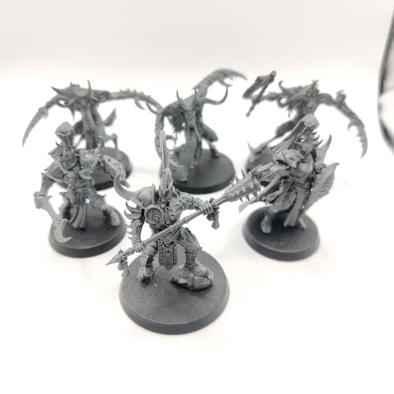 Age of Sigmar Hedonites of Slaanesh Bundle - AF033