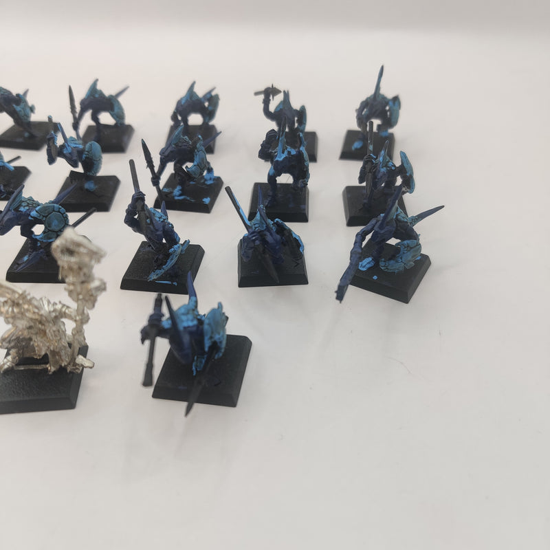 Warhammer Fantasy Lizardmen Skinks and Metal Priest AP008