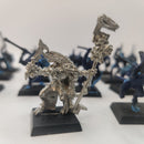 Warhammer Fantasy Lizardmen Skinks and Metal Priest AP008