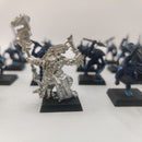 Warhammer Fantasy Lizardmen Skinks and Metal Priest AP008