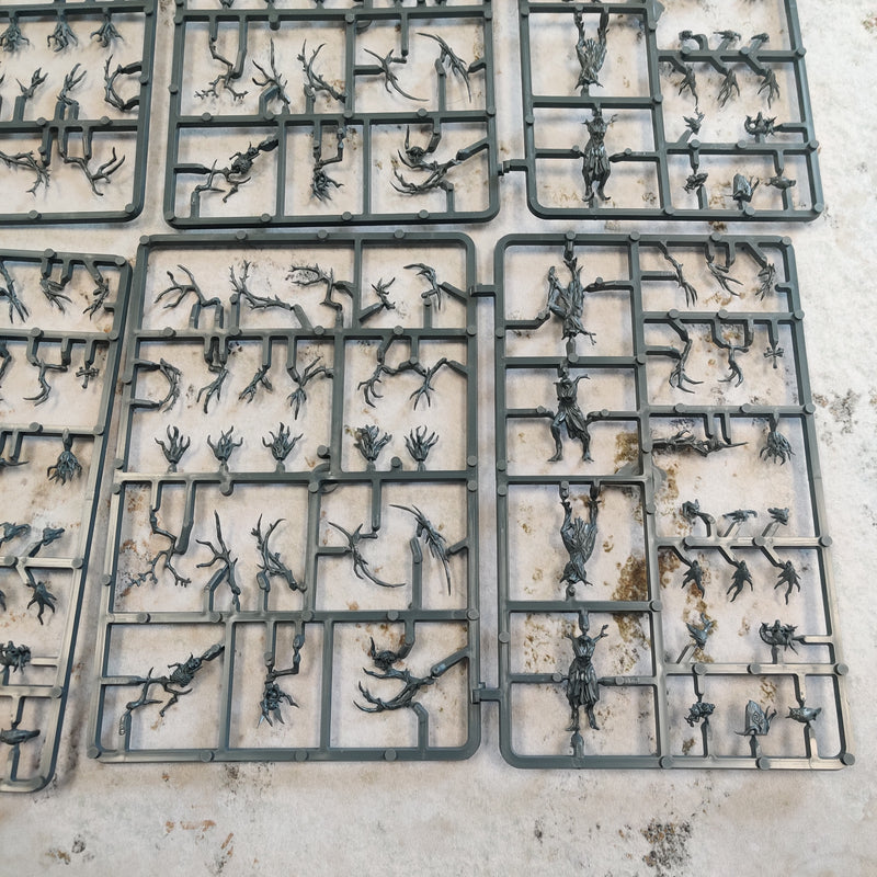 Warhammer Age of Sigmar Sylvaneth Dryads and Branch Wych - On Sprue AY104