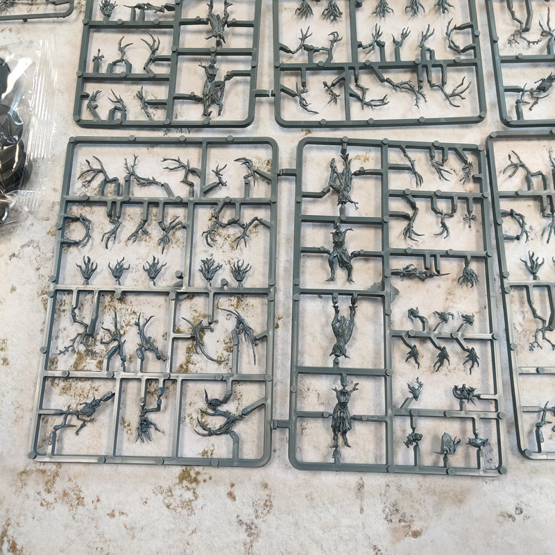 Warhammer Age of Sigmar Sylvaneth Dryads and Branch Wych - On Sprue AY104