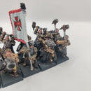 Warhammer The Old World Empire Teutogen Guard inc Command - Painted AW055