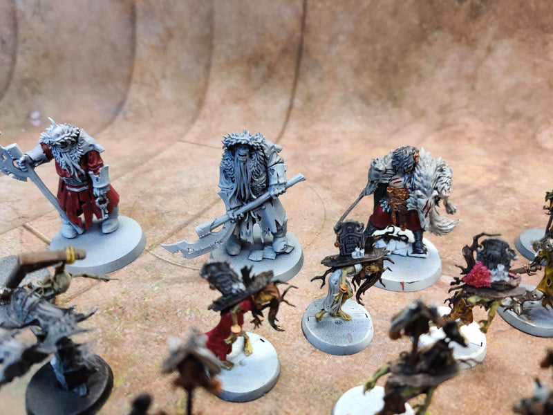 Warhammer Cursed City - Miniatures Bundle - Part Painted AX069