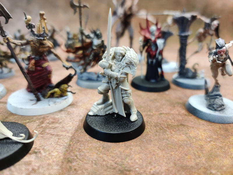 Warhammer Cursed City - Miniatures Bundle - Part Painted AX069