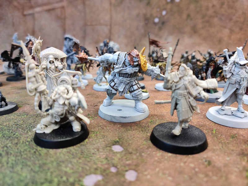 Warhammer Cursed City - Miniatures Bundle - Part Painted AX069