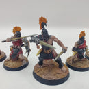 Warhammer Age of Sigmar Warcry Splintered Fang Warband BA098